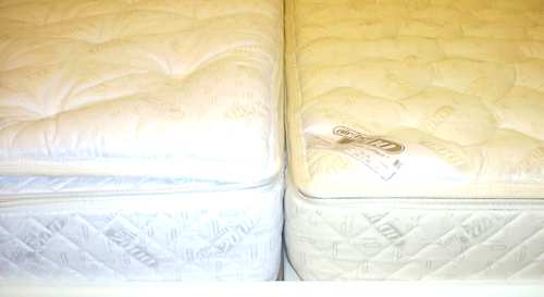a2/a1 pillowtop